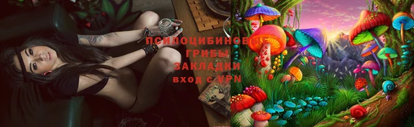 стафф Богородск