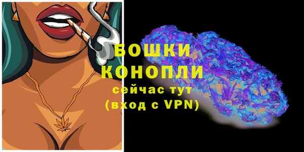 стафф Богородск