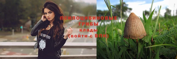 MDMA Premium VHQ Богородицк