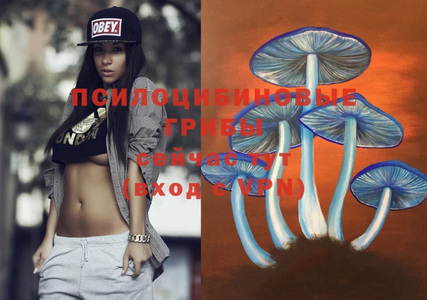 MDMA Premium VHQ Богородицк