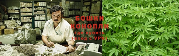 стафф Богородск