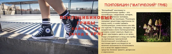 стафф Богородск