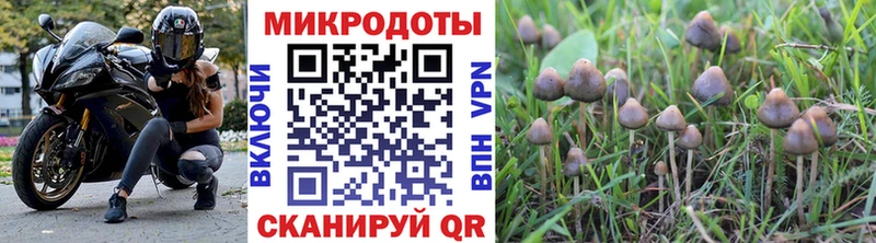 Псилоцибиновые грибы Magic Shrooms  Котельнич 